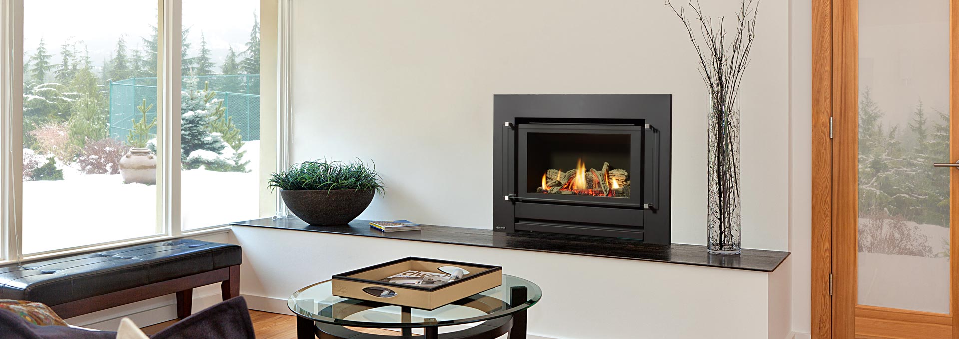 Contemporary Gas Inbuilt Greenfire Gfi350l Regency Fireplace